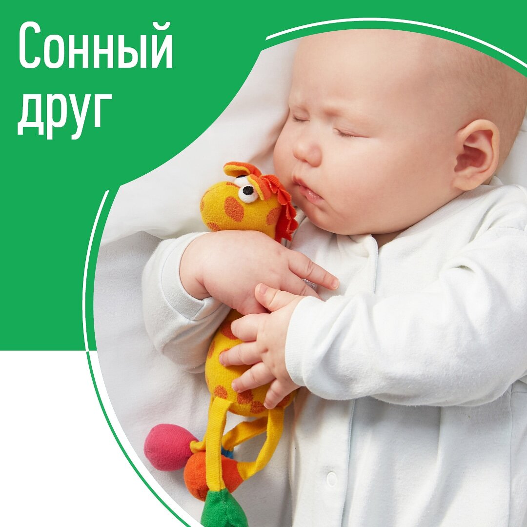 Зачем нужен сонный друг?🐼
⠀
«Это мило», - скажут мамы, чьи малыши не имеют проблем со сном.😍
⠀
«Это не только мило, но еще и слабая ассоциация на засыпание, которая поможет уйти от сильных», - авторитетно объяснят мамы, которые давно в теме сна.👍
⠀
Мы согласимся и с теми, и с другими.😉
⠀
Ставим ♥️, расскажем, как правильно приучить малыша к сонной игрушке.
⠀
Внимание! По правилам безопасности игрушка в кроватке может появиться только после 6 месяцев ребенка!
⠀
Итак, выбираем вместе с ребенком игрушку🦋. Обратите внимание: не ту, которая нравится ВАМ, а ту, которая по душе ребенку!
⠀
➖Главное, чтобы она была для него безопасной в процессе сна. Без лент, пуговиц, торчащих глаз – того, что можно отгрызть и запихать в рот.
⠀
➕Игрушка должна быть приятной на ощупь ребенку и легко стираться/мыться.
⠀
Активно играйте с ней днем: мойте руки, кормите, сажайте на горшок, проводите ритуал, укладывайте спать.🍳
⠀
Потом предложите малышу позвать игрушку к себе в кроватку. 🛌
⠀
Принял? Уснул вместе с ней?
⠀
Отлично. Теперь этот 🧸 или 🚙 будет жить только в кроватке. Иначе ассоциация со сном пропадет.
⠀
Хотя есть детки, для которых игрушка становится не только сонным, а просто другом – они ее носят повсюду с собой и, конечно, не расстаются во время сна.
⠀
Такая игрушка работает «успокоителем» при ночных пробуждениях: малыш видит друга, понимает, что все хорошо, засыпает снова. Хорошо помогает в ситуациях переезда, посещения детсада и пр. В общем, очень правильная слабая ассоциация на засыпание.👌
⠀
Если малыш привык к сонному другу, создайте запас из нескольких таких же на случай потери или порчи.
⠀
Бывают дети, которым сонные друзья не нужны. 😜От слова вообще. Милый заяц или мишка бесит малыша - и вот уже «друг» летит из кроватки, или разыгрывает – и вот уже вместо сна малыш ведет задушевные беседы с бегемотом. 🤯В таком случае – не настаивайте! Наблюдайте за малышом и следуйте, исходя из его потребностей.
⠀
С кем или с чем спят ваши детки? С мамой или с зайцем? А вам бы как хотелось?😉