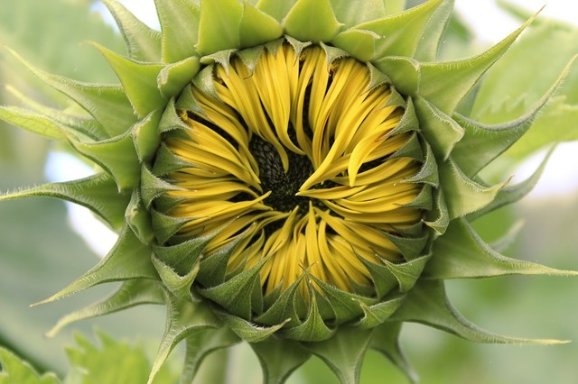 Источник фото: pixabay.com