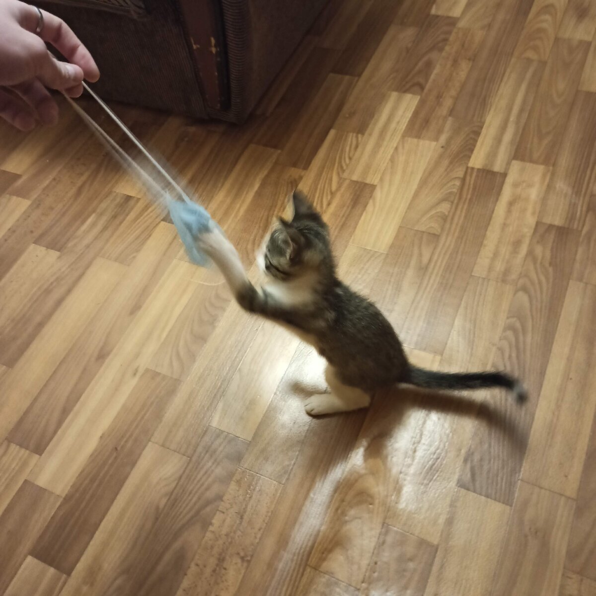 Пока еще маленький, но уже ненавидит маски.