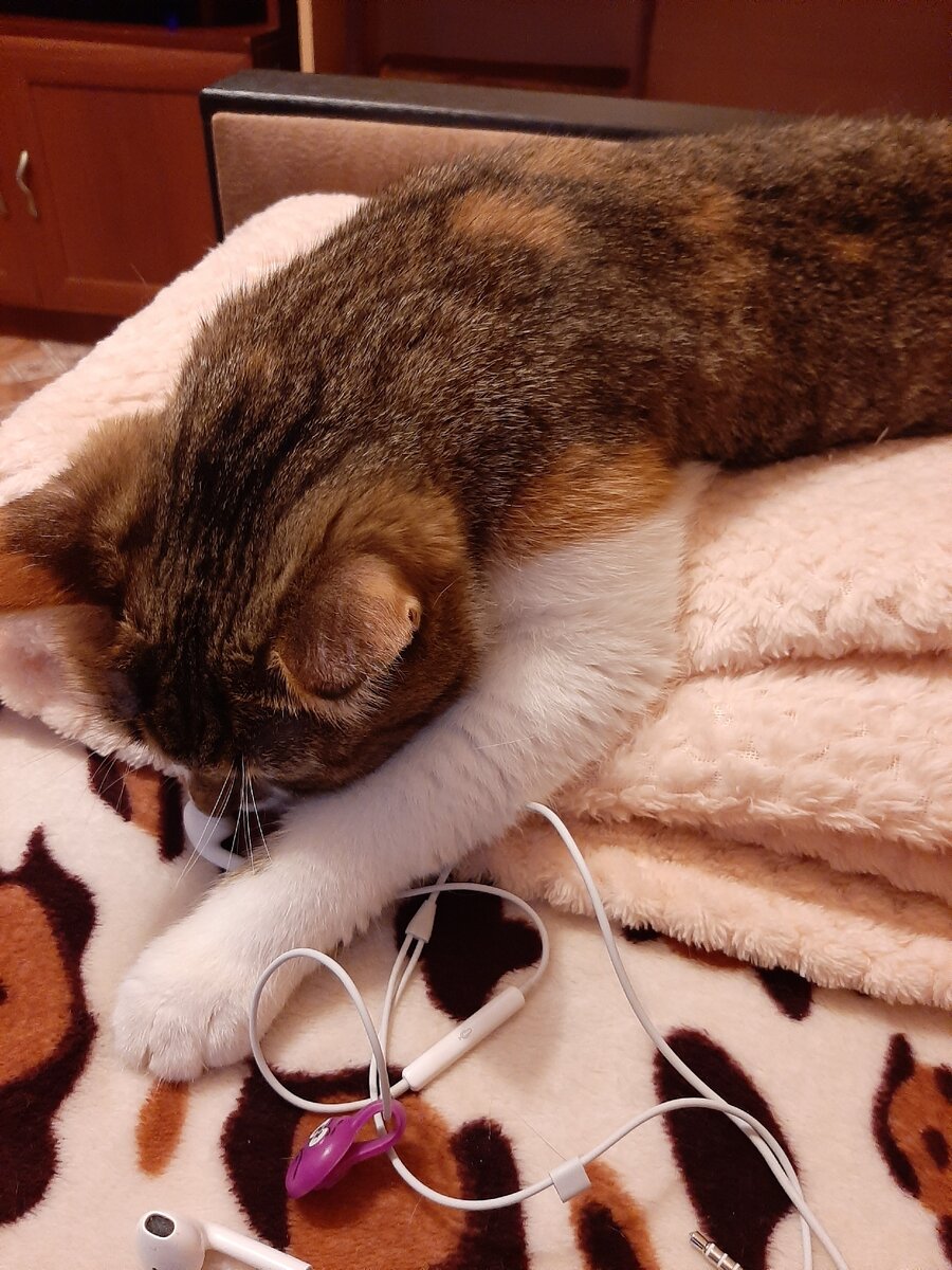 Музыку слушает