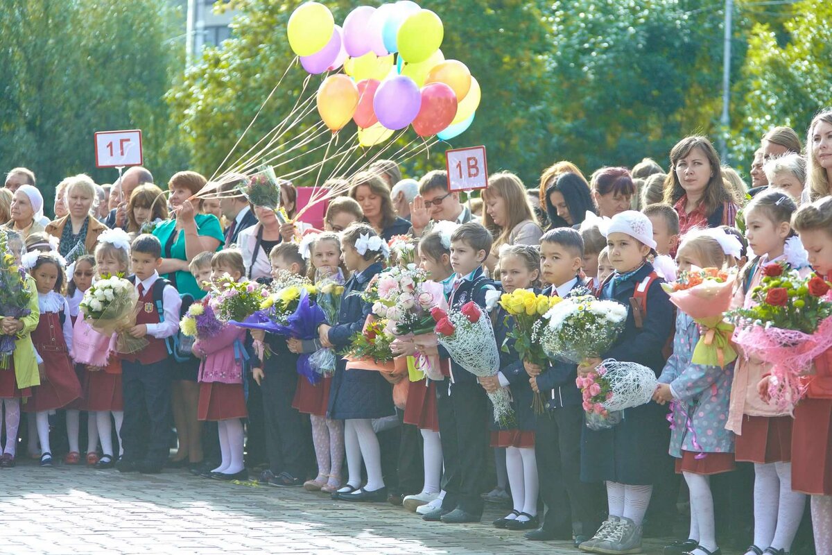 Пойдут ли дети в школу. Школьная линейка. Первоклассники на линейке. Линейка в школе. Линейка для детей.