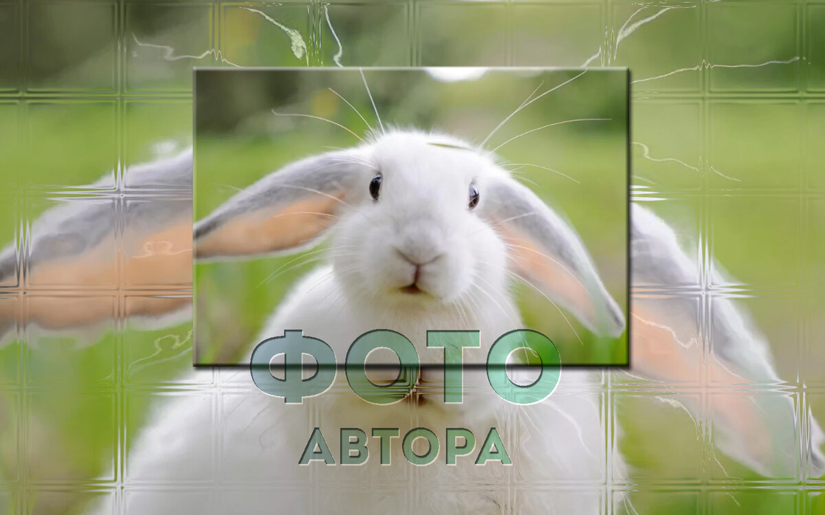 Да, Да, ето я: Mr.Teacher