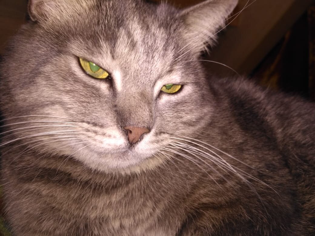 Тарзан - суперзвезда 