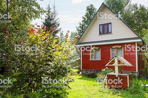 фото взято из свободного источника сети Интернет 