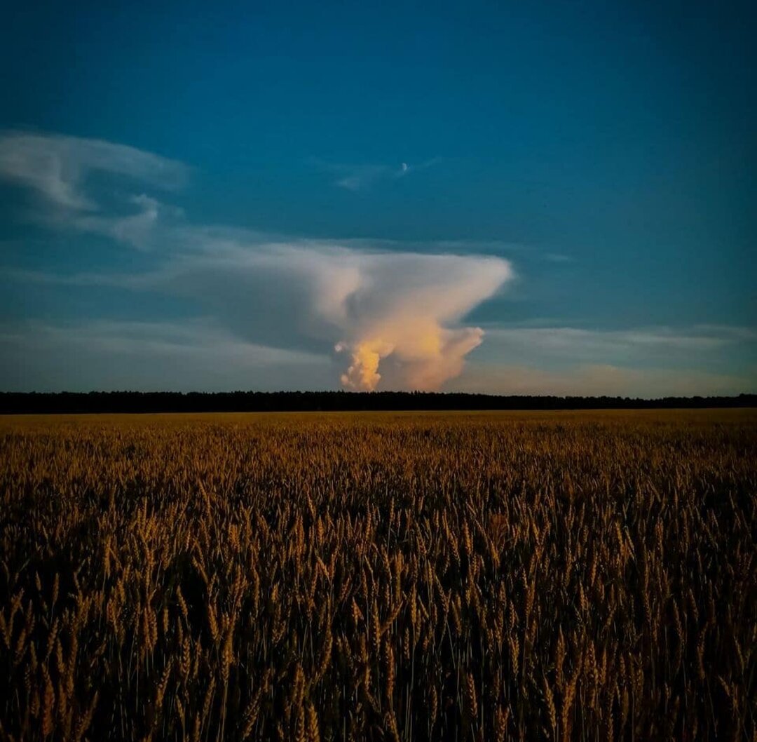 Личное фото