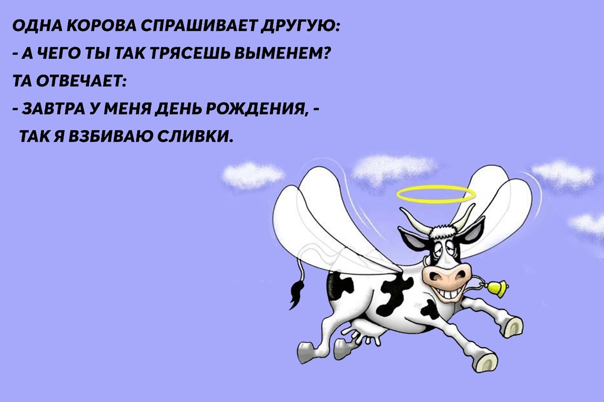 Рисунок из свободного доступа Яндекс картинок.Коллаж автора.