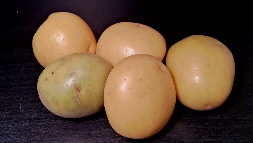 Фото Виктория Ли.