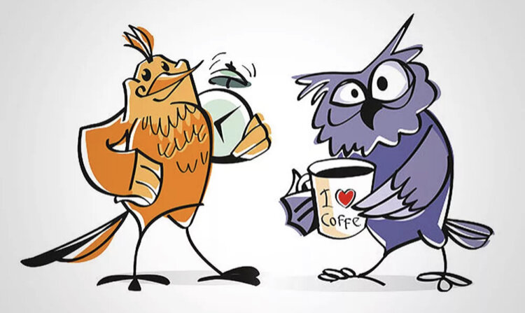 Яндекс. Картинки 