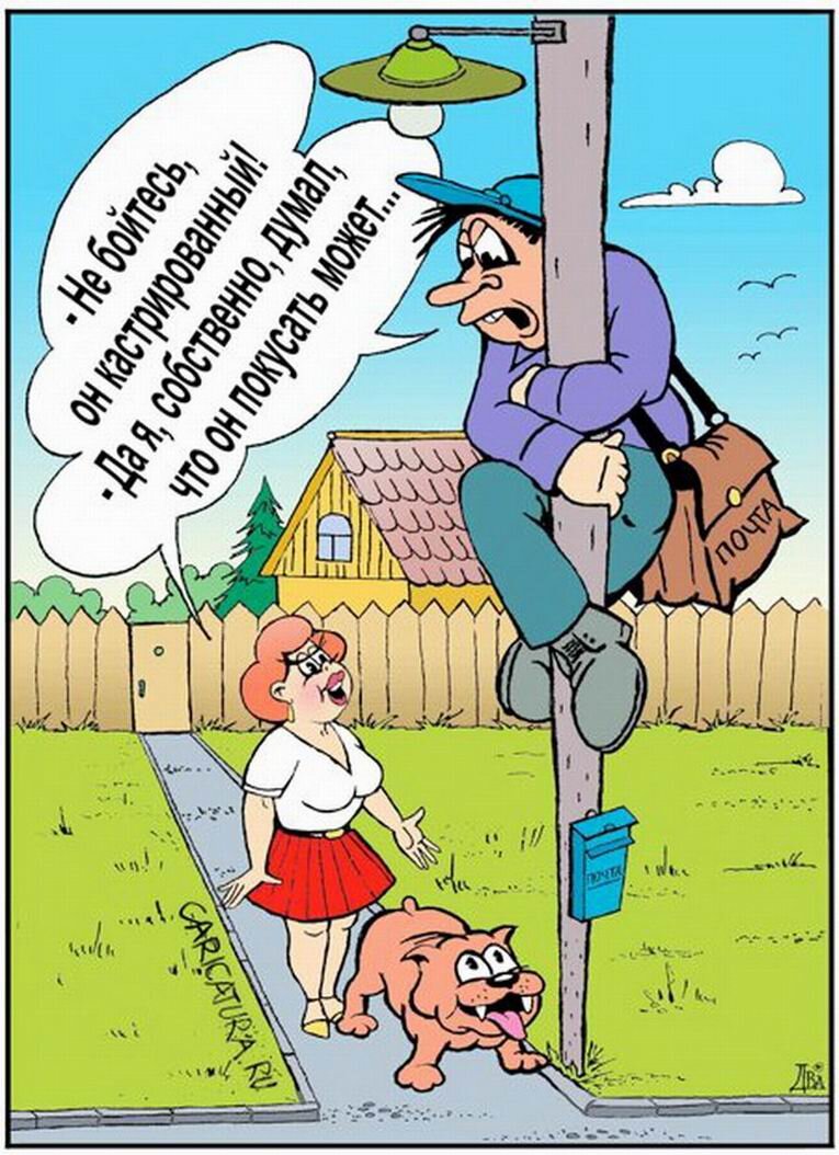Юмор в картинках