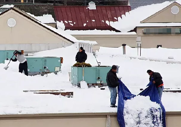 В публикации использованы фото из свободных источников.