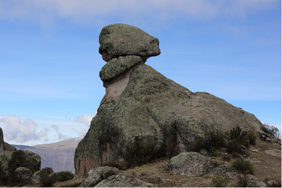 Голова животного. Источник https://www.mt-kailash.ru/fotogallery/peru-2013/peru-2013-plato-markahuasi