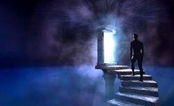 Изображение из интернета. 