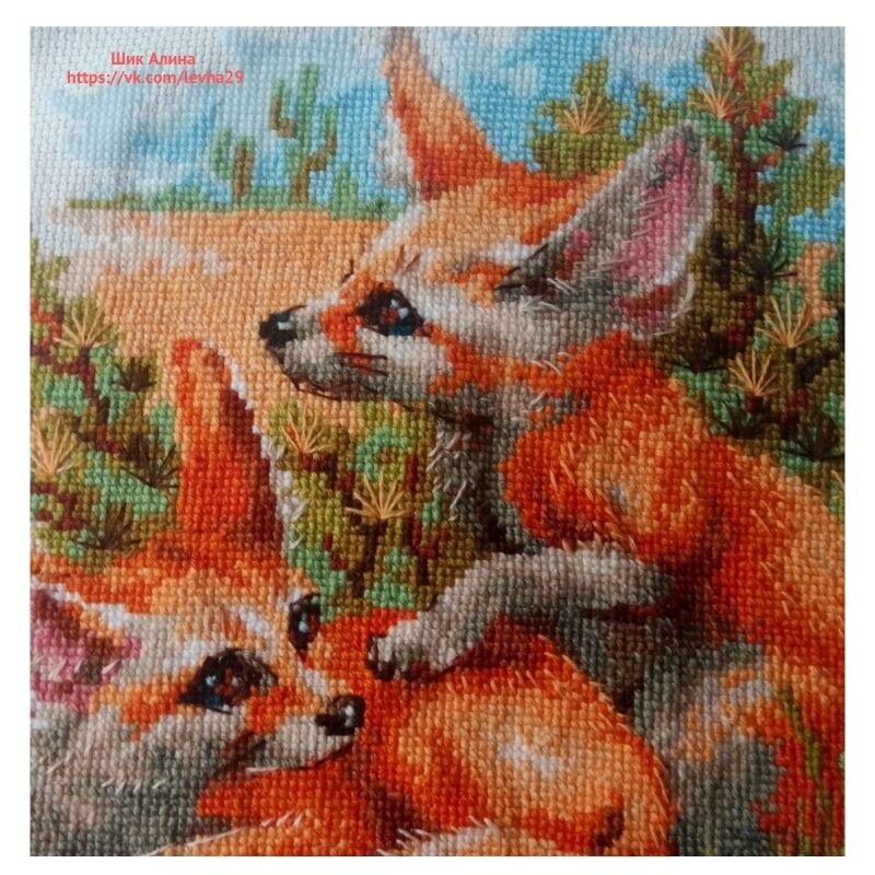 Вот тут более четко видно контуры.