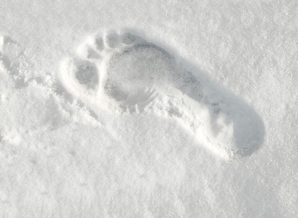 Яндекс картинки