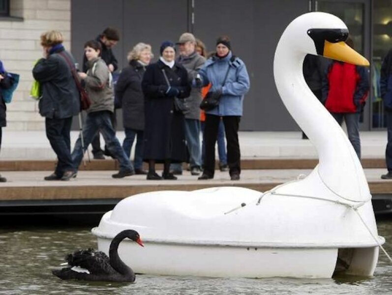 "Необычный любовный союз". Фото взято из свободного источника.