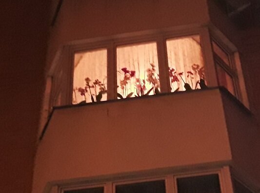 Красивое окно с орхидеями. Хорошая хозяюшка там живет наверное, которая любит цветы и умеет заботиться о них.