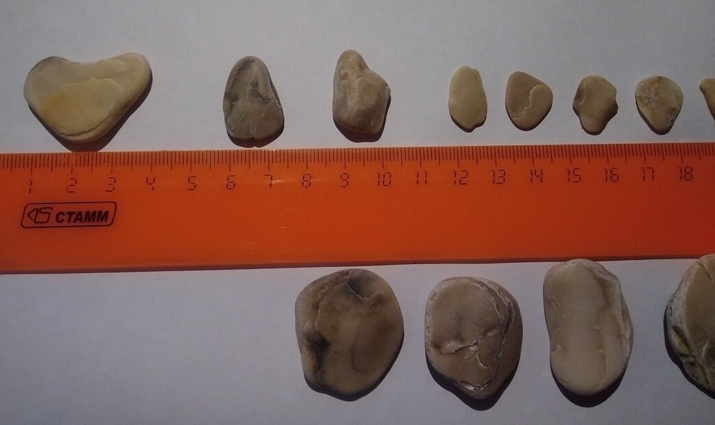 Эти камни были больше похожи на осколки древних морских раковин...