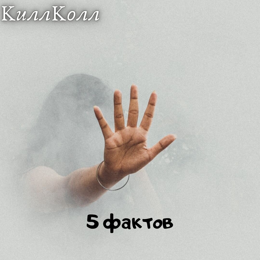 Источник изображения: pexels.com