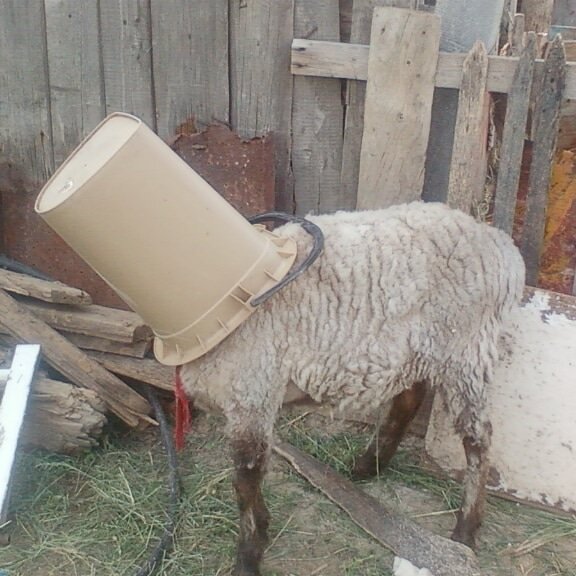 Вот так шлем