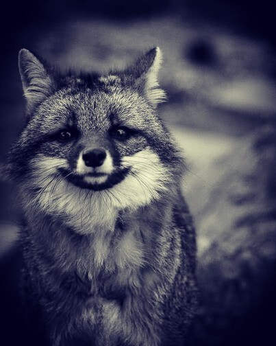 Картинка с просторов сети