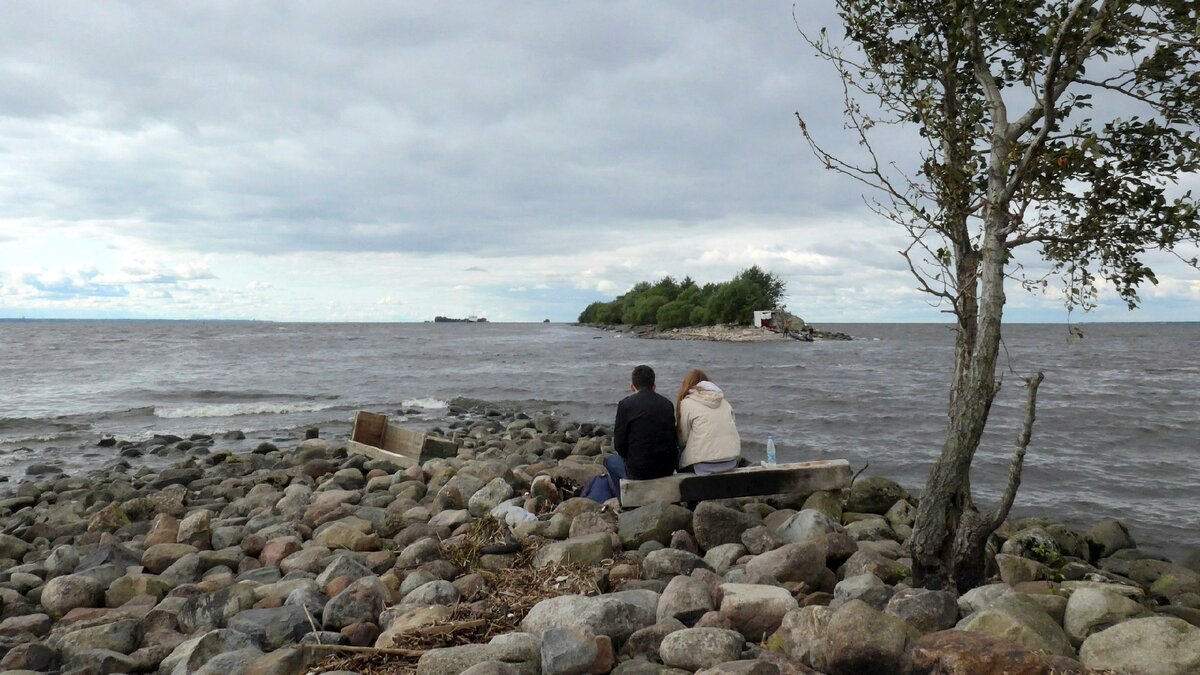 Город морем омываемый. Архангельское сколько море. Ветки омытые водой на берегу.