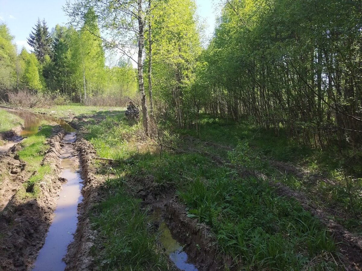 Старая дорога в Смоленской области