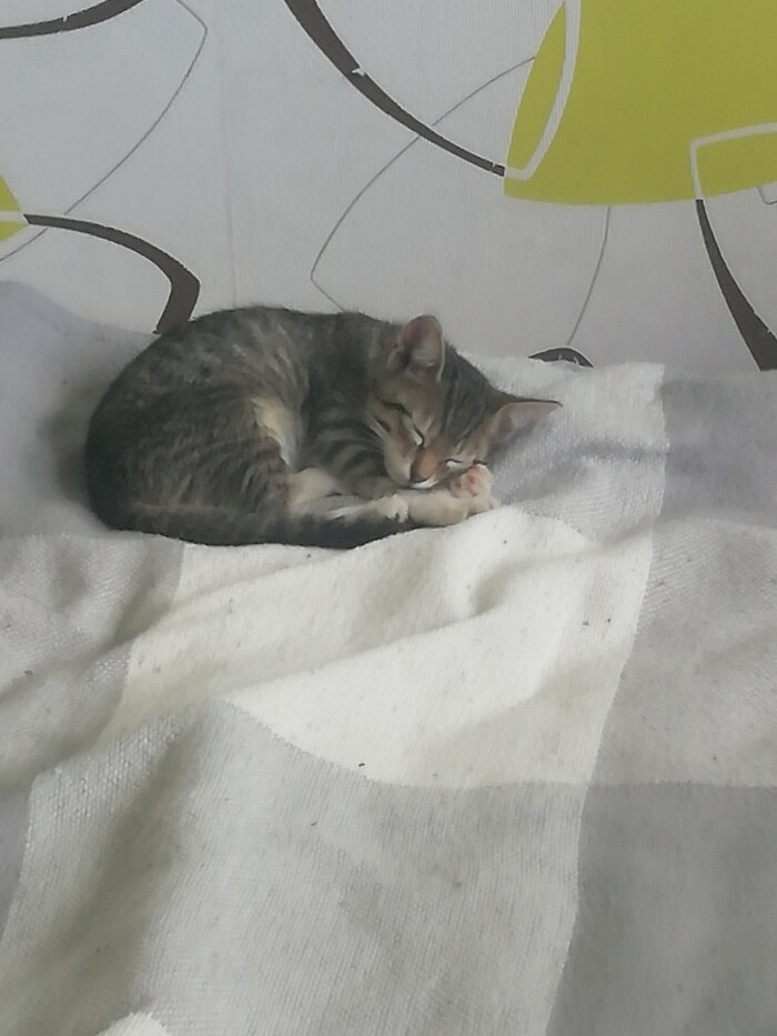 Растем помаленьку