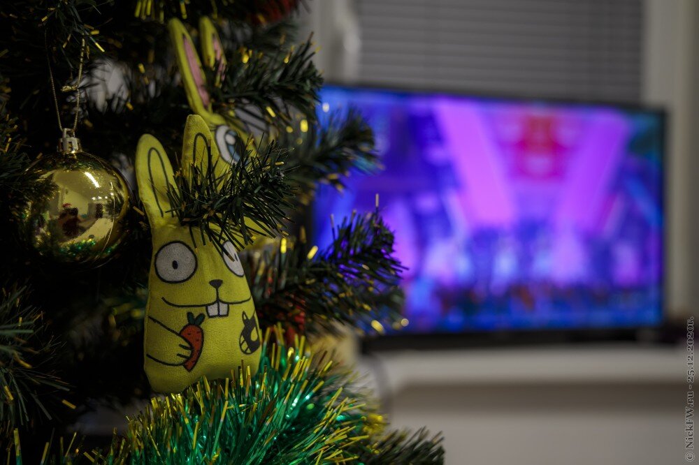 Захар на ёлке на фоне телевизора © NickFW.ru - 25.12.2020г.