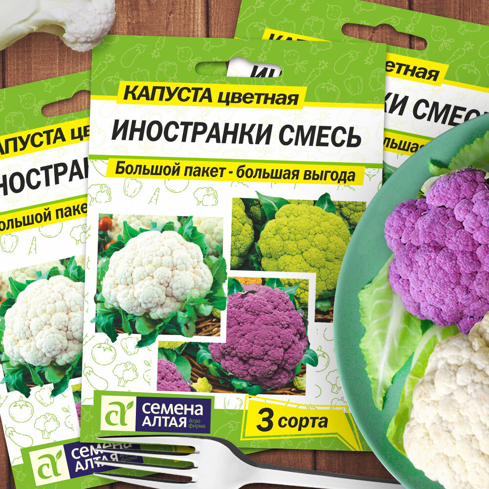Капуста декоративная осака красная. Капуста смесь. Капуста декоративная смесь окрасок. Капуста декоративная смесь сембат. Капуста декоративная осака красная.