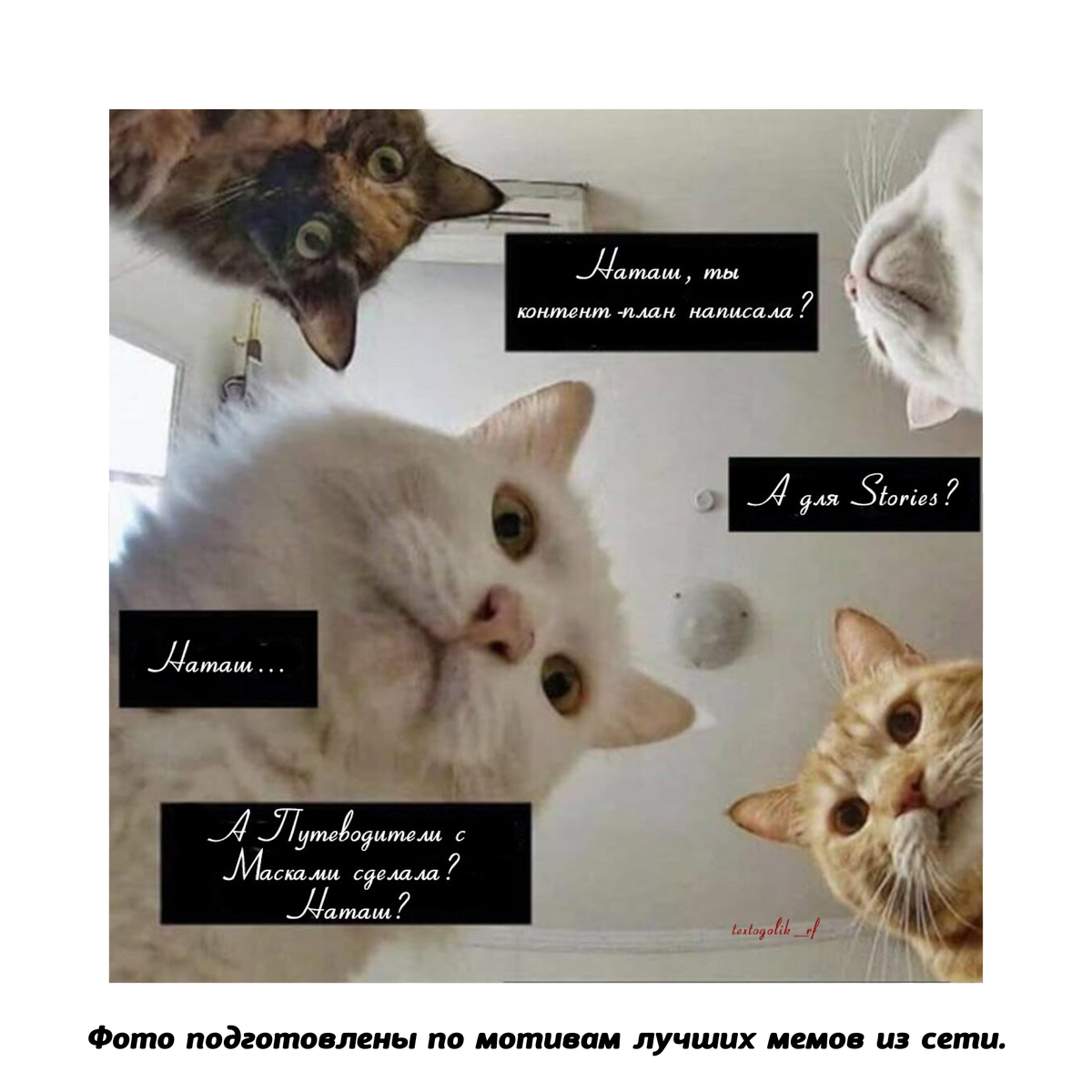 Итоги года картинки смешные