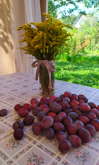 Летом приятно лакомиться своими фруктами, ягодами, овощами. Личное фото автора.