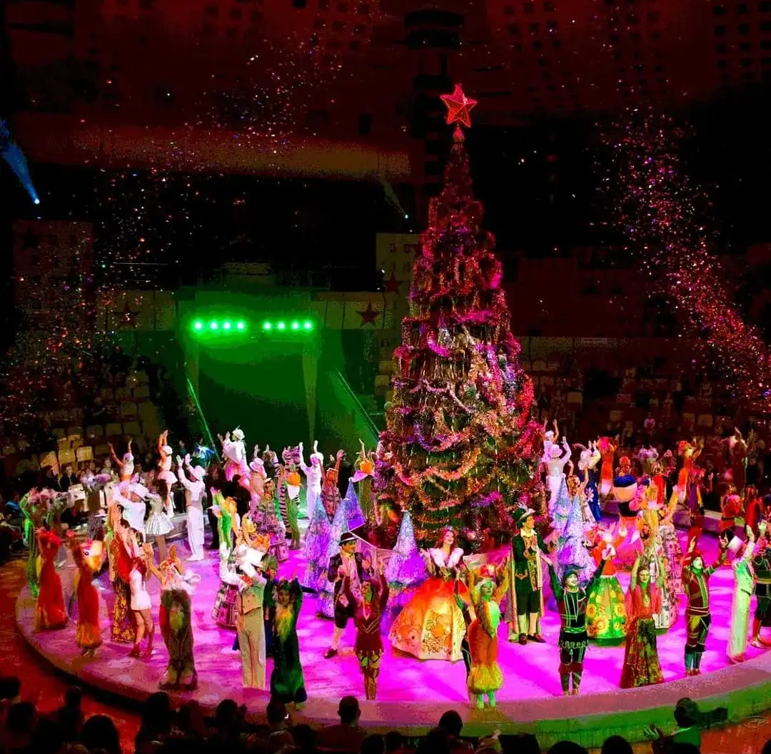 Цирковое представление подарит незабываемые впечатления