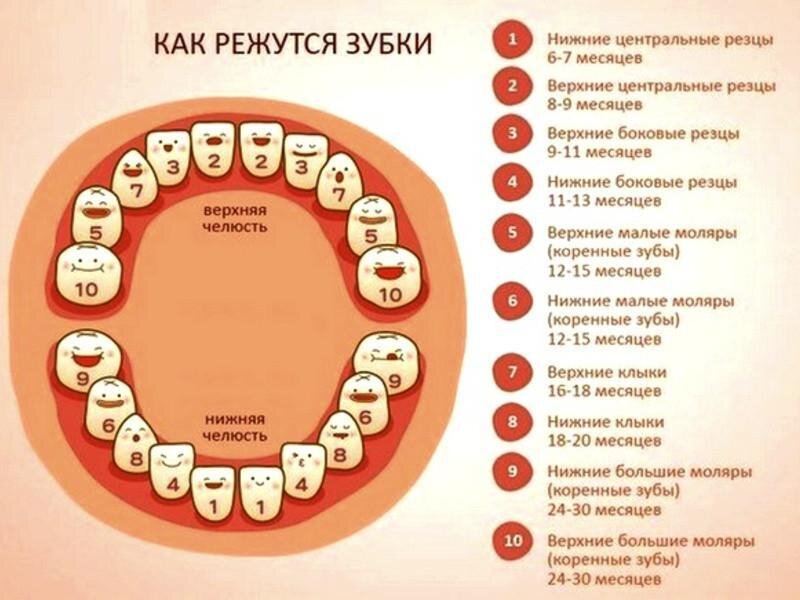 Первые зубы без проблем — ФГБУЗ МСЧ №59 ФМБА России