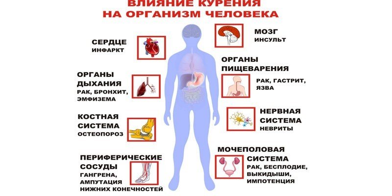 влияние курения на организм человека
