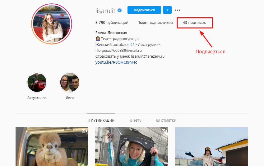 Подписка на lisarulit