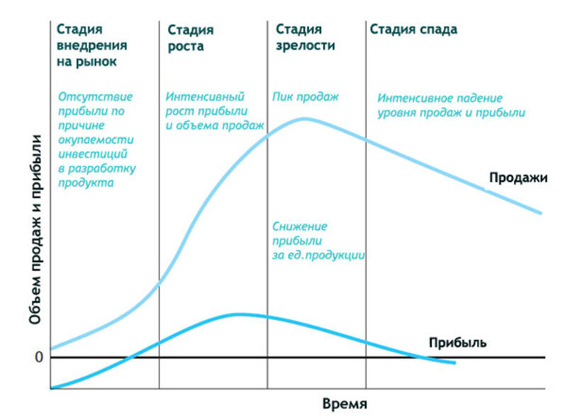 Этапы роста организации. Матрица БКГ И жизненный цикл товара. Матрица БКГ И стадии жизненного цикла. Стадии жизненного цикла рынка. Этап жизненного цикла товара на основе матрицы БКГ.