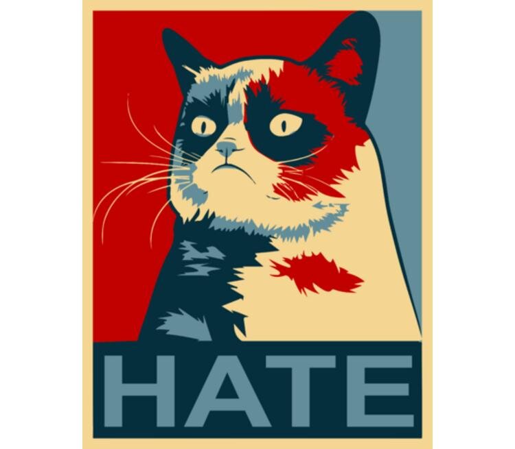Хейт - это уже нынче модная субкультура. Картинка из интернета
