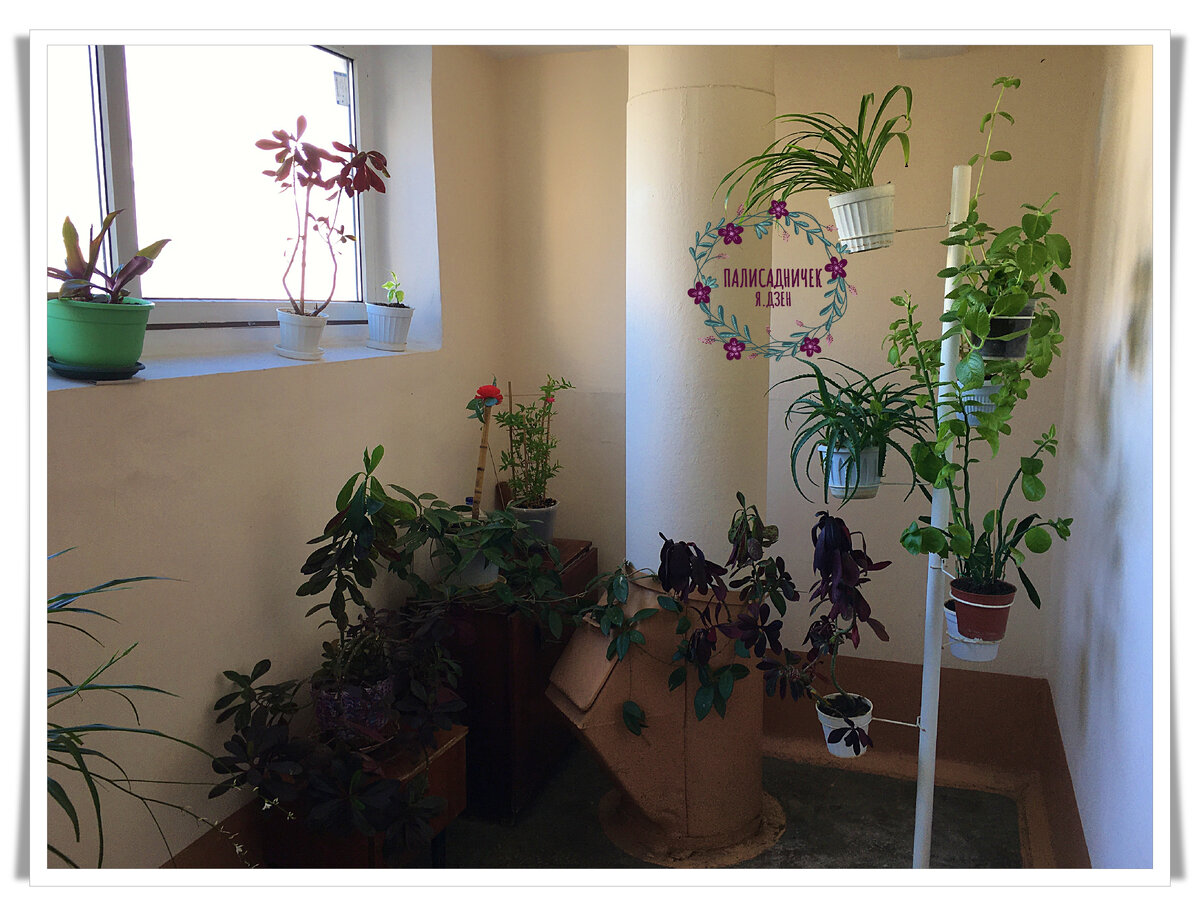 Общий план 3.