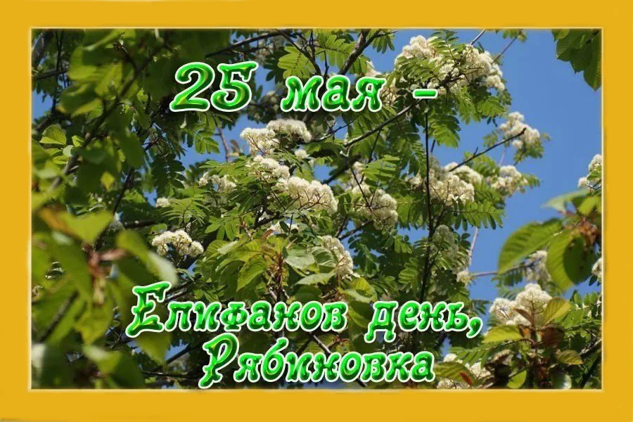 Приметы на 25 июня 2024 года. 25 Мая народный праздник. 25 Мая день Епифана Рябиновка. Епифанов день народный праздник открытки. Епифанов день Рябиновка картинки