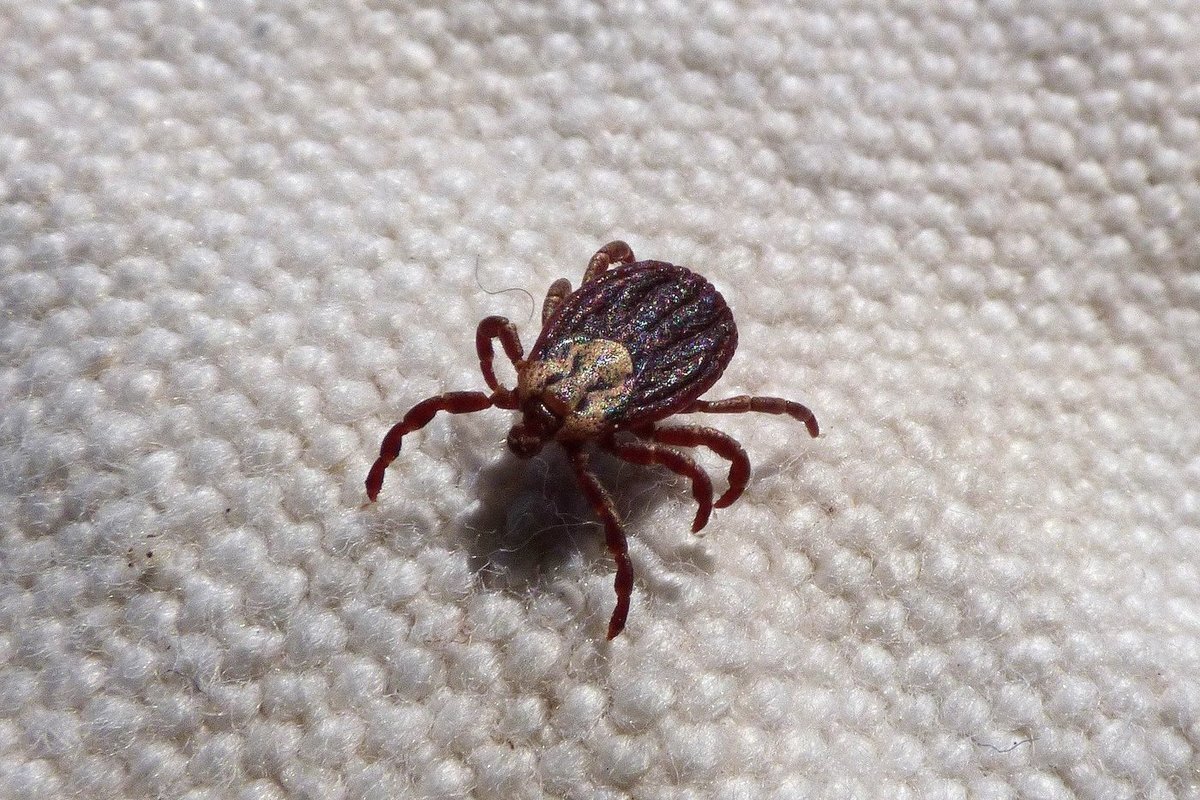 Фото из интернета