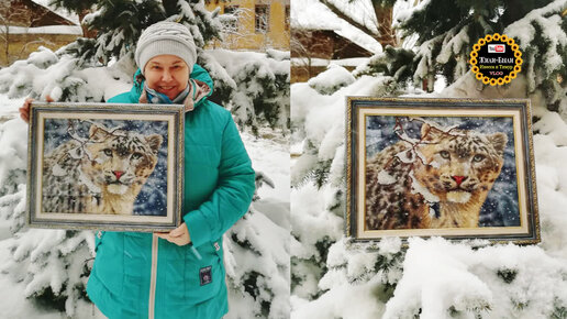 ДЖ Снежные барсы Золотое Руно купить в Москве