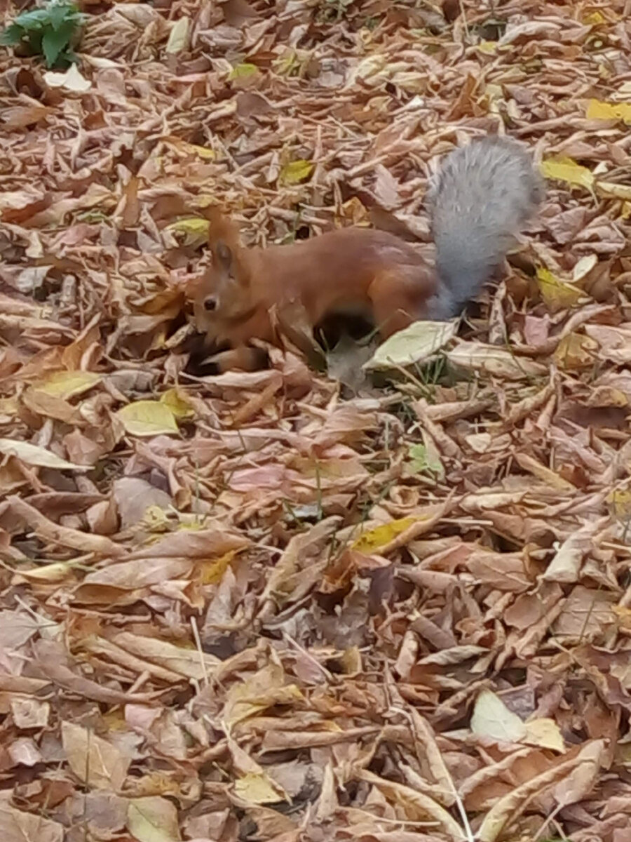 Уже вот-вот!