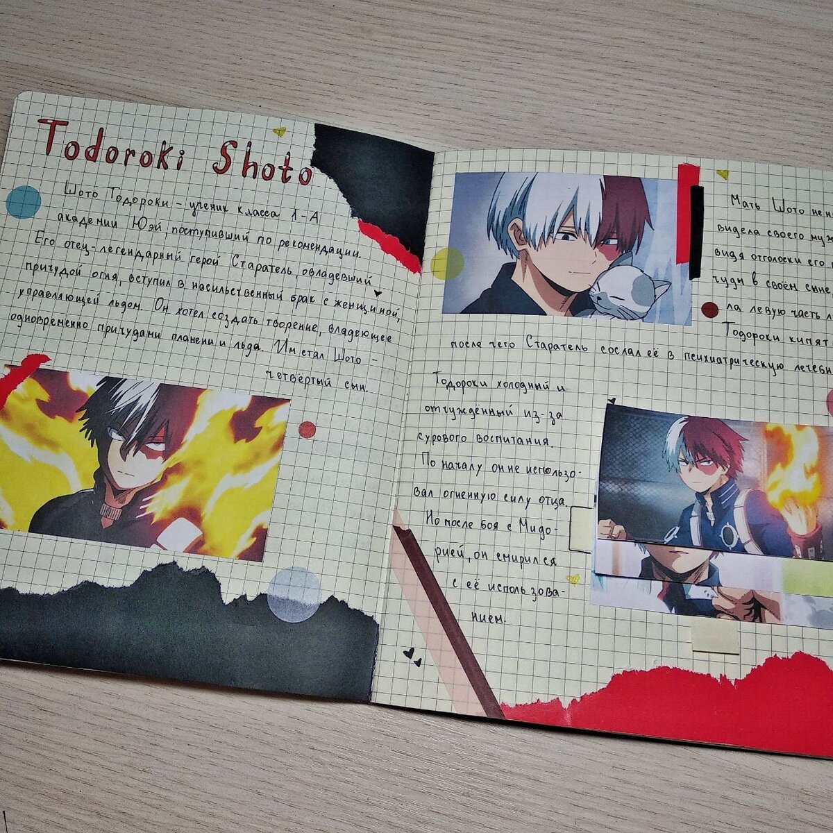 Разворот из моего дневника