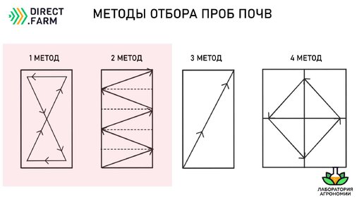 Время и методы проведения агрохимического анализа почвы (Сельское хозяйство)