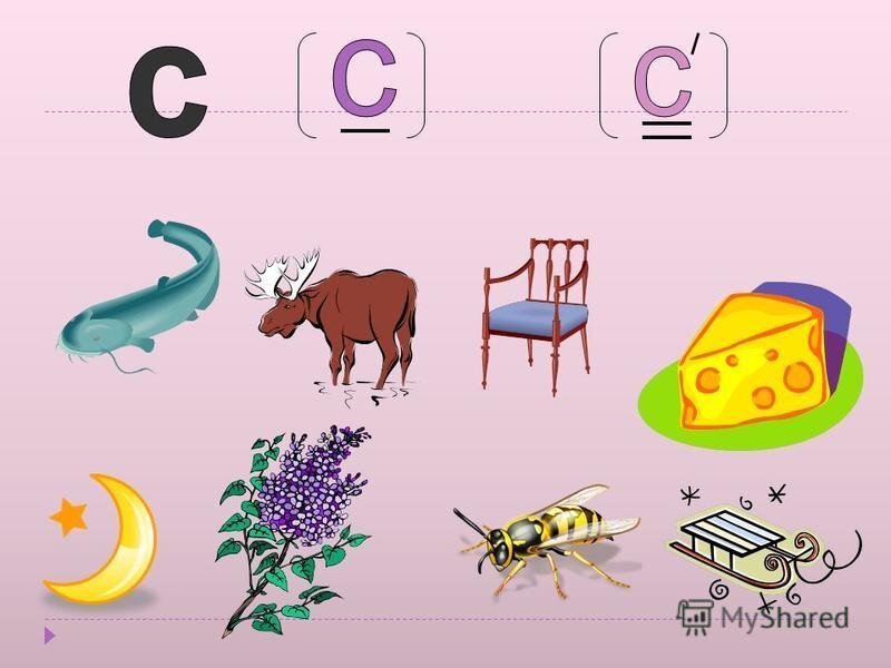 Картинки со звуком с и с