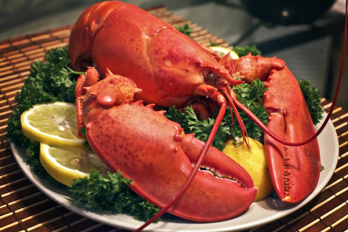 Омара можно приготовить по-всякому: сделать севиче, бульон, суп-биск. 
Но лучший способ насладиться изысканным мясом морского рака – просто отварить его в подсоленной воде и получить удовольствие от блюда в сочетании со сливочным маслом и кусочком лимона.