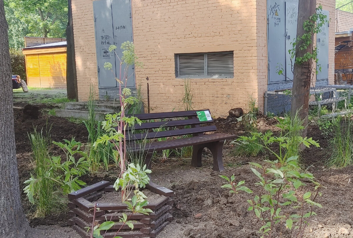 Общий вид композиции, пока растения молодые и не набрали всей мощи, но буквально через пару лет здесь будут мощные заросли, которые образуют приятный тенек , да цветочница тоже из пластика.