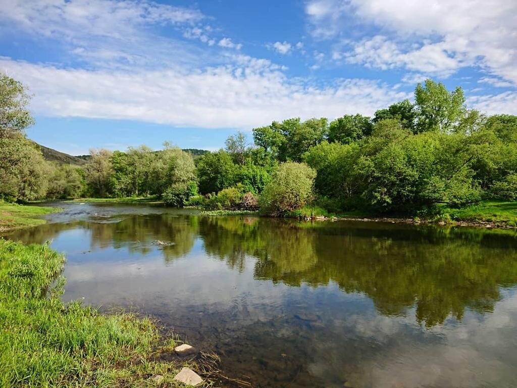 голавль любит очень стоять на перекатах