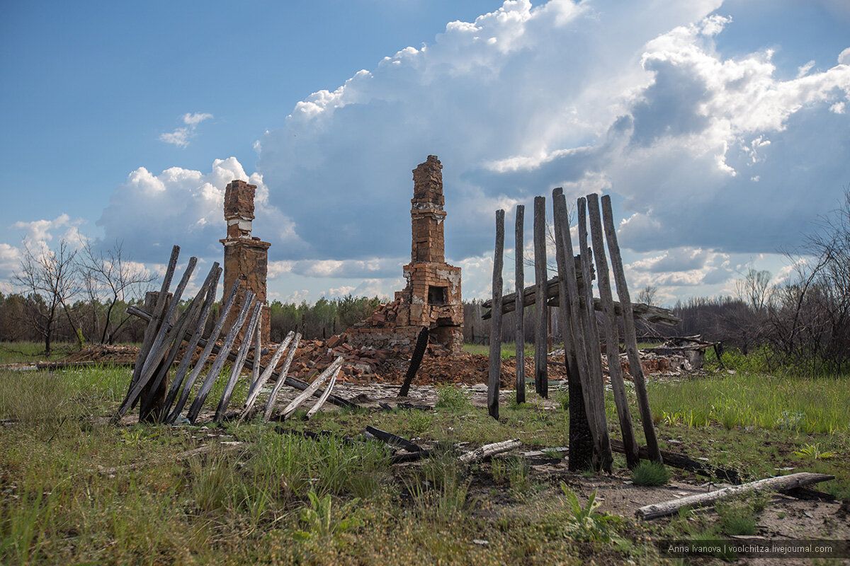Фото из сети "Интернет".