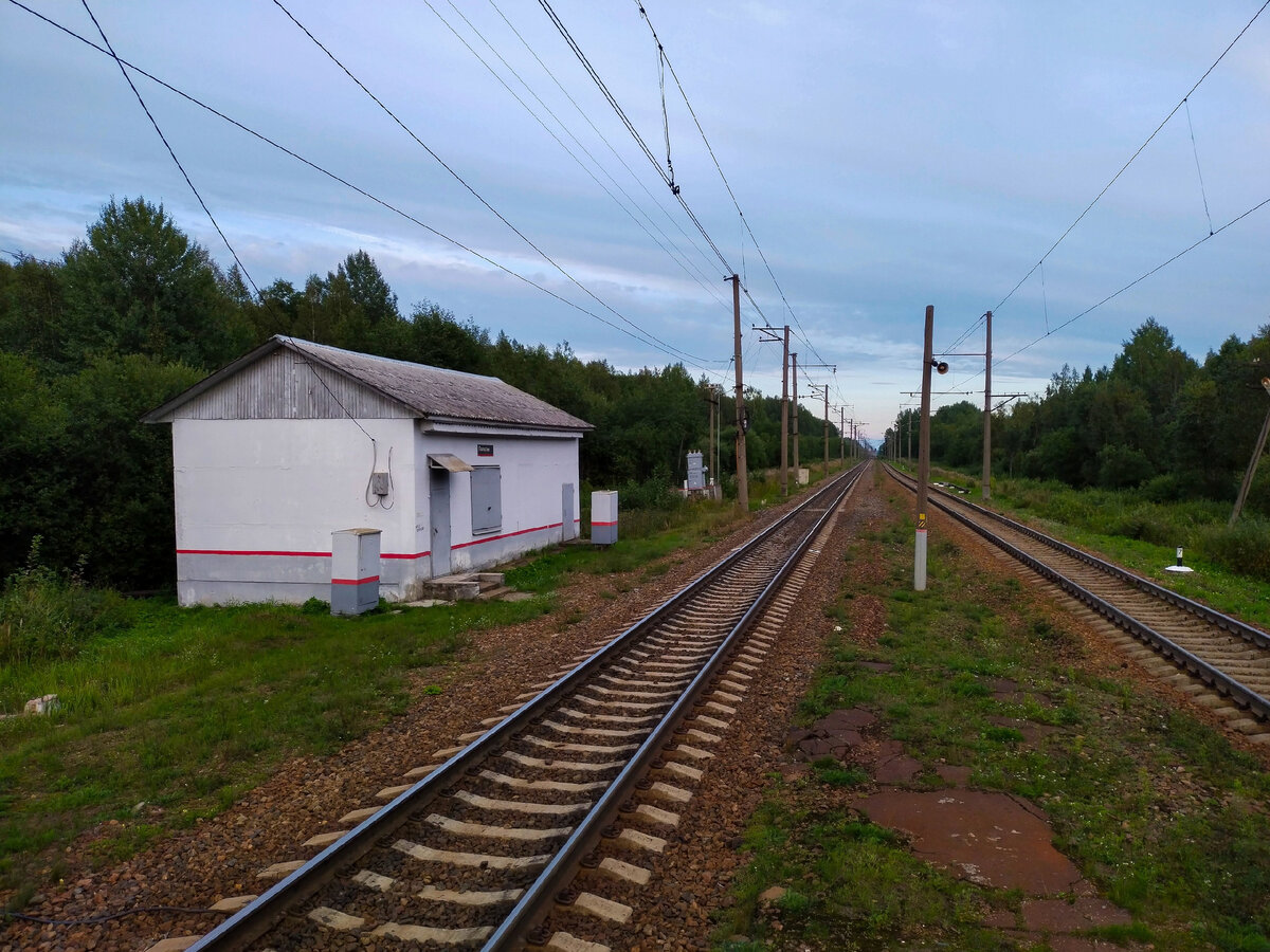Московский мга электричка. Полустанок Погостье фото.